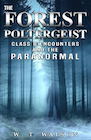 Book: The Forest Poltergeist: Class B Encounters and the Paranormal