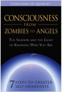 Book: Consciousness from Zombies to Angels